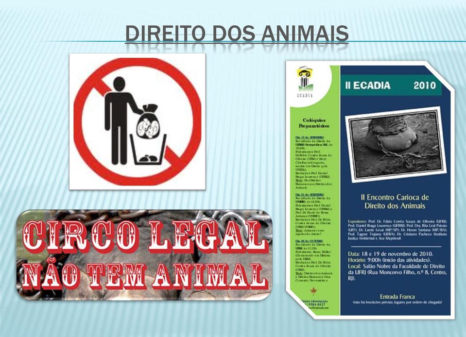 ANIMAIS