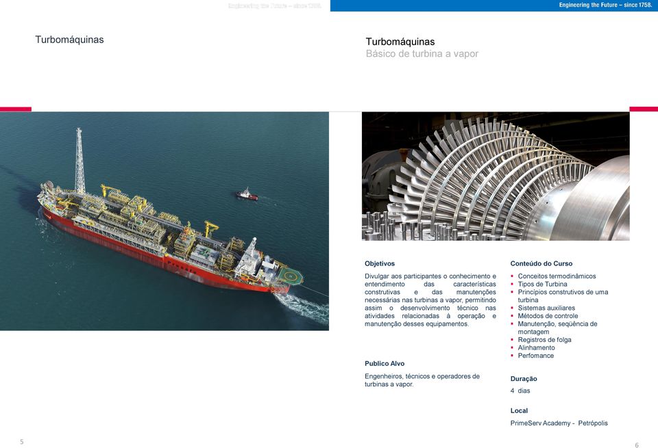 manutenção desses equipamentos. Engenheiros, técnicos e operadores de turbinas a vapor.