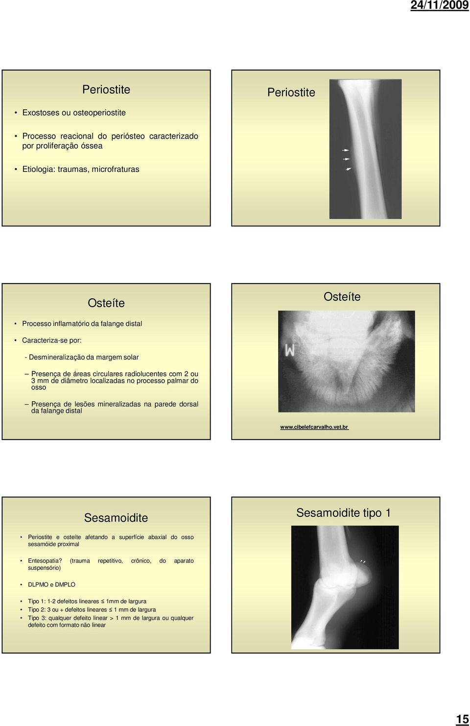 mineralizadas na parede dorsal da falange distal www.cibelefcarvalho.vet.br Sesamoidite Sesamoidite tipo 1 Periostite e osteíte afetando a superfície abaxial do osso sesamóide proximal Entesopatia?