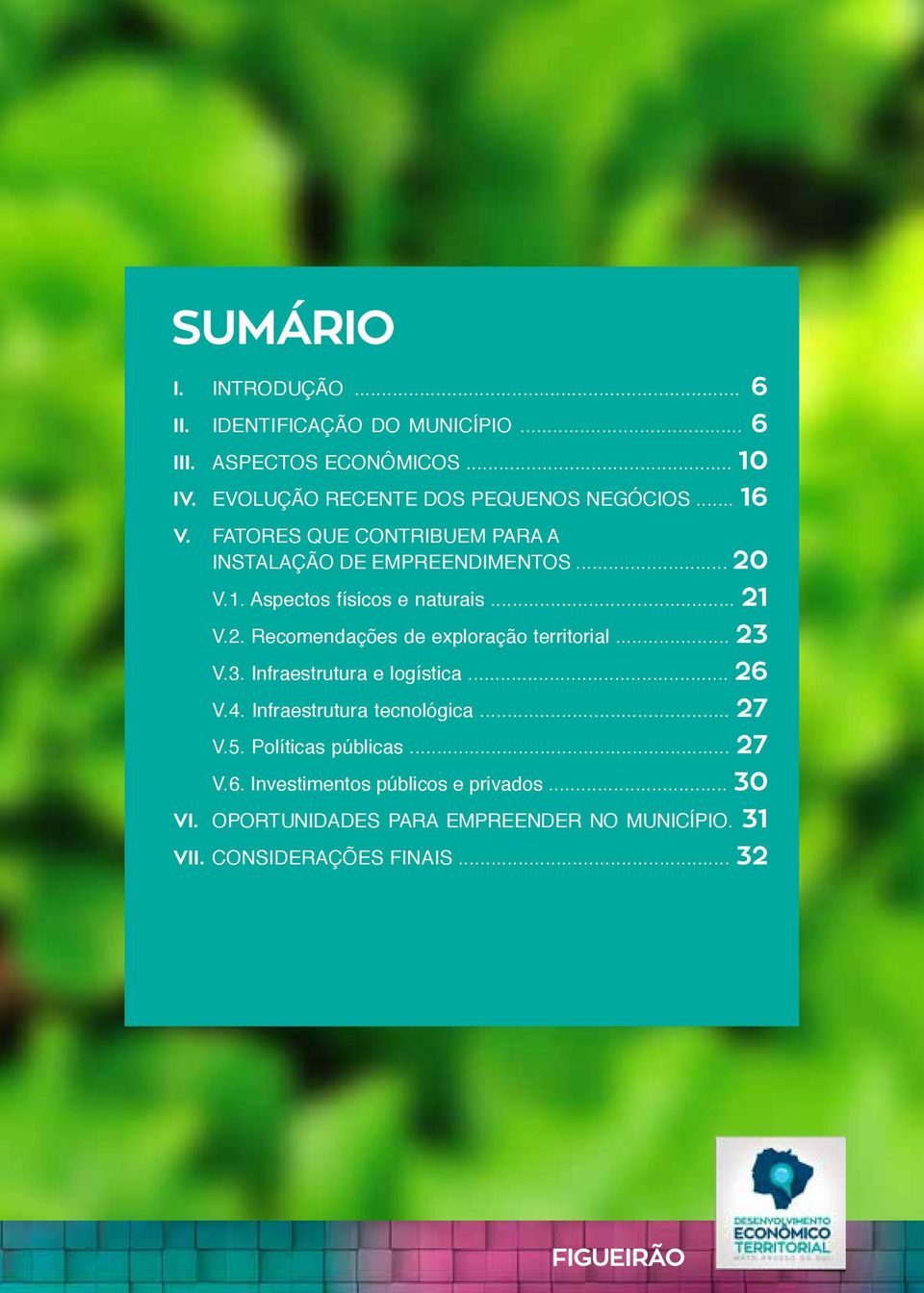 .. 21 V.2. Recomendações de exploração territorial... 23 V.3. Infraestrutura e logística... 26 V.4. Infraestrutura tecnológica... 27 V.