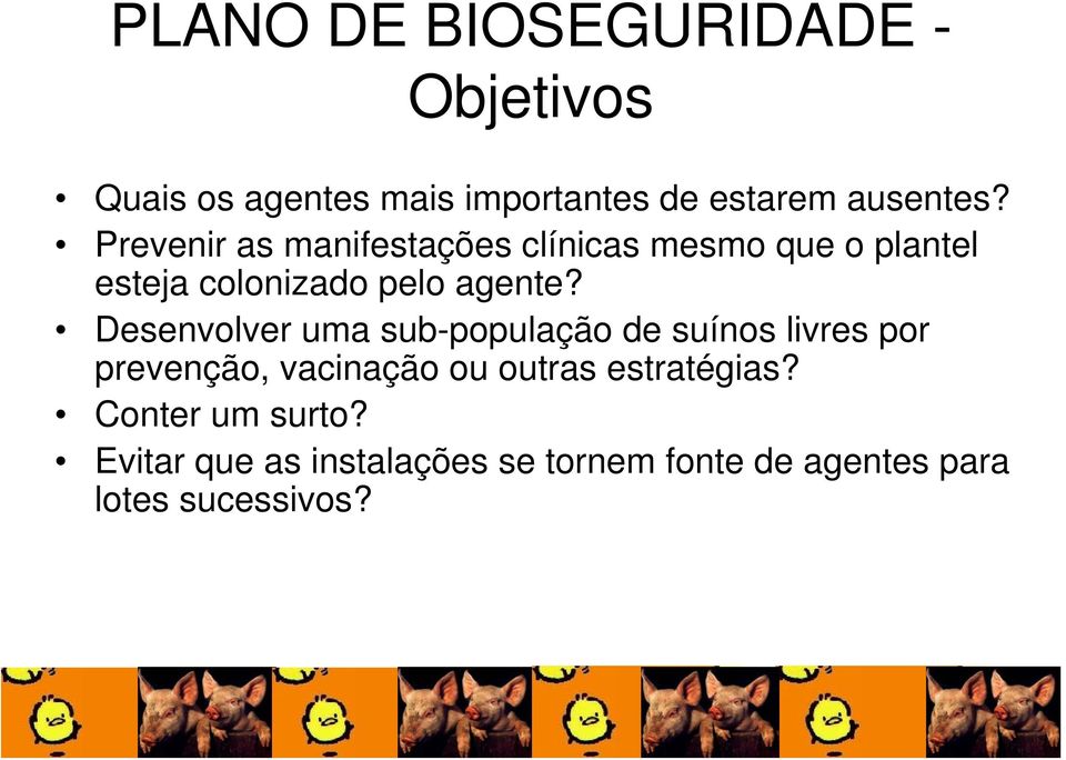 Desenvolver uma sub-população de suínos livres por prevenção, vacinação ou outras