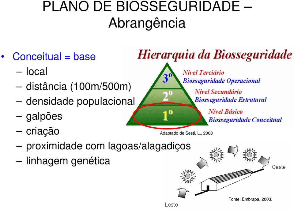 galpões criação Adaptado de Sesti, L.