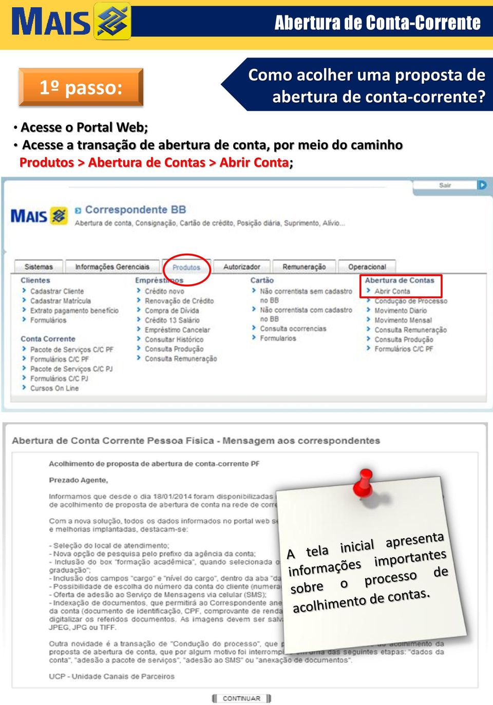 Acesse o Portal Web; Acesse a transação de