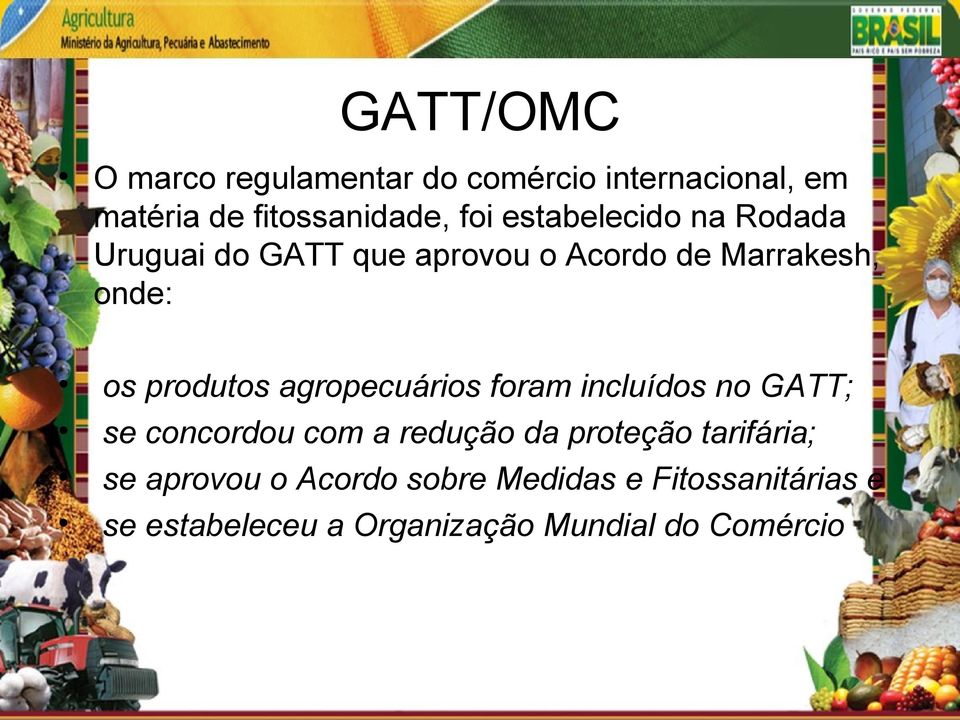 agropecuários foram incluídos no GATT; se concordou com a redução da proteção tarifária; se