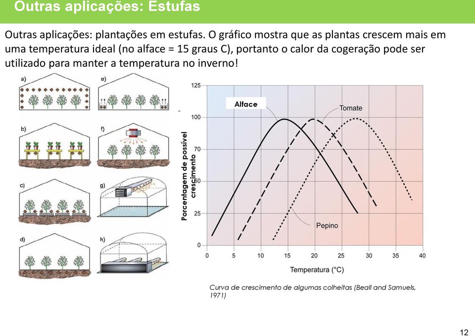 O gráfico mostra que as plantas crescem mais em uma temperatura ideal (no alface = 15 graus