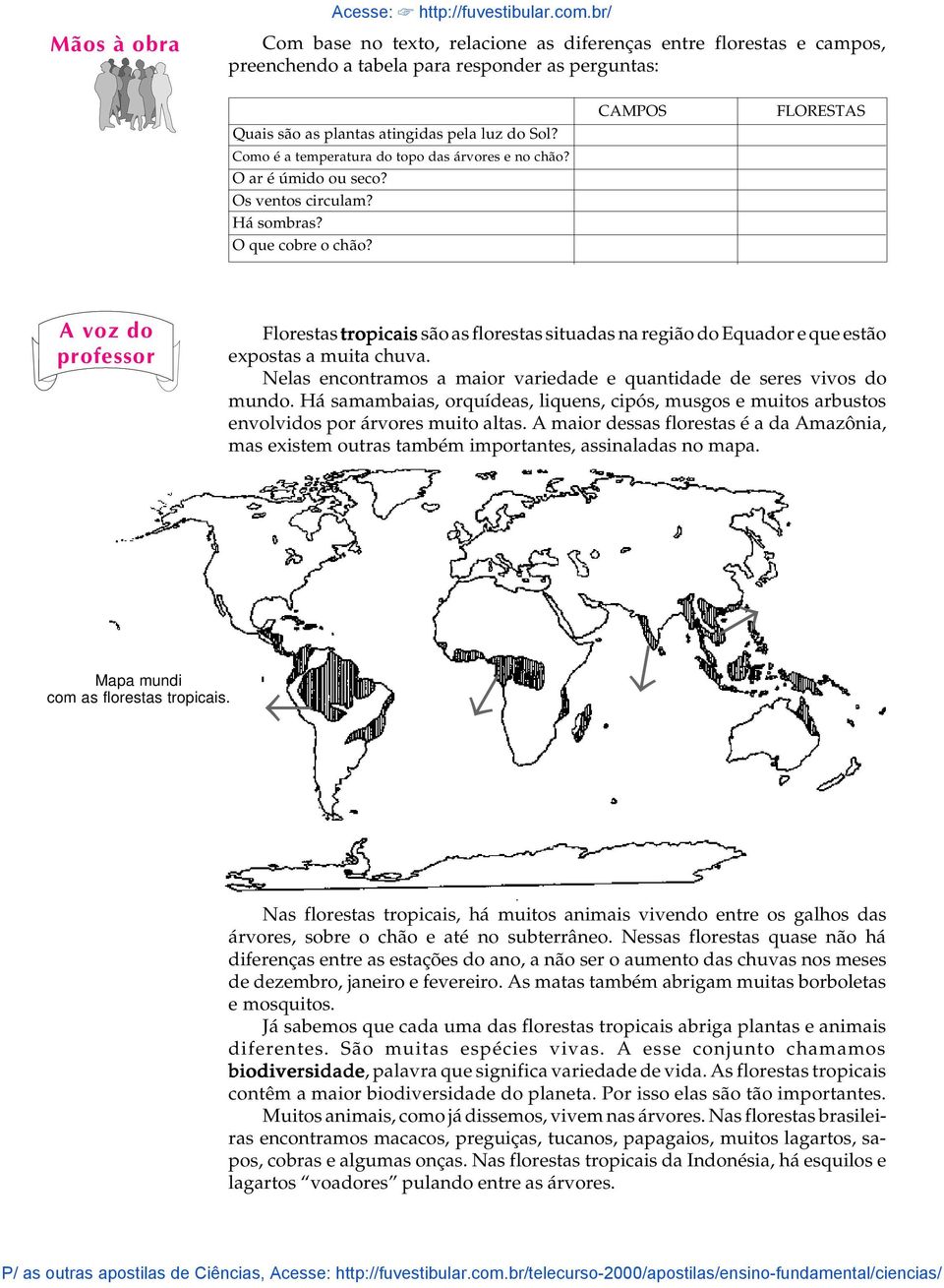 br/ CAMPOS FLORESTAS A voz do professor Florestas tropicais são as florestas situadas na região do Equador e que estão expostas a muita chuva.