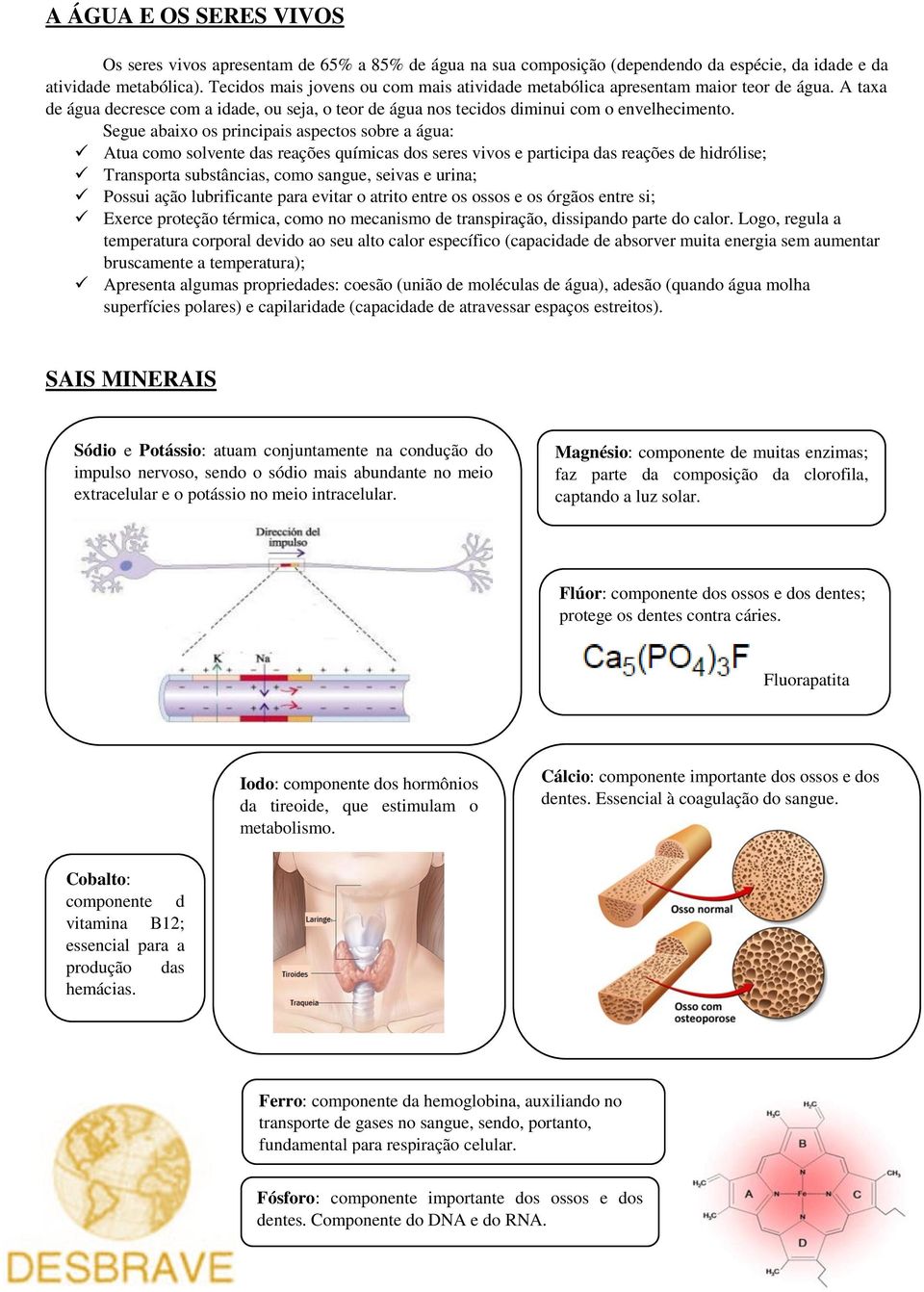 Segue abaixo os principais aspectos sobre a água: Atua como solvente das reações químicas dos seres vivos e participa das reações de hidrólise; Transporta substâncias, como sangue, seivas e urina;