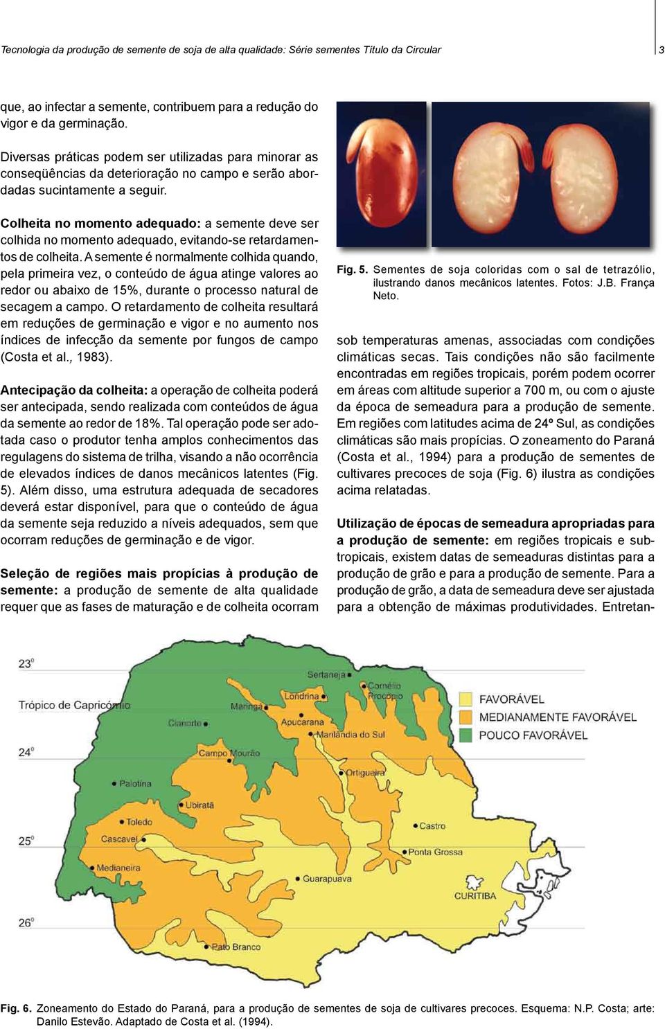 Colheita no momento adequado: a semente deve ser colhida no momento adequado, evitando-se retardamentos de colheita.