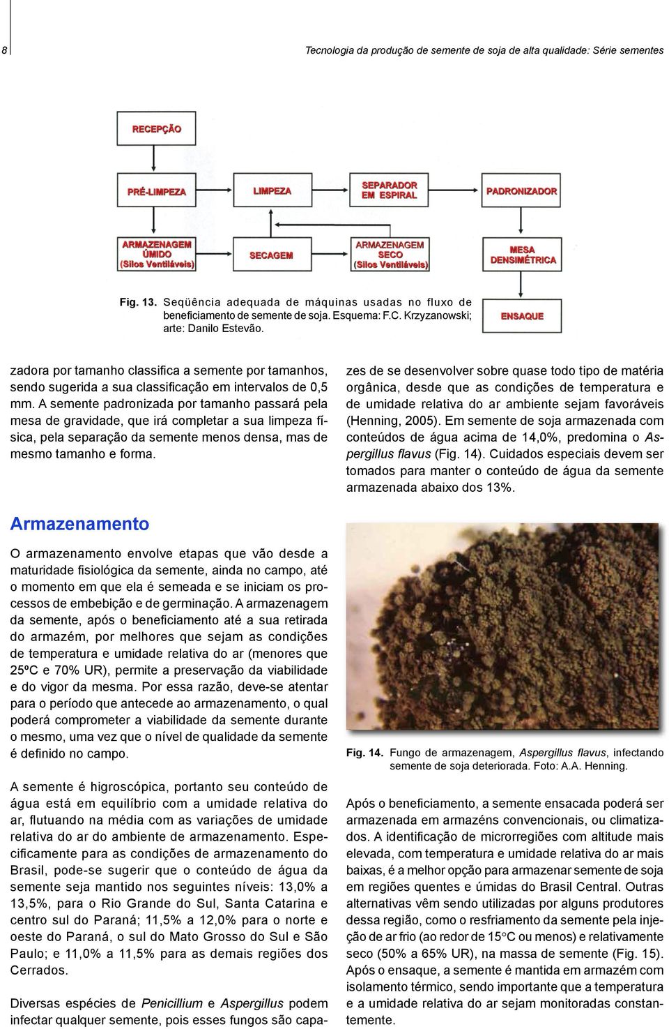 A semente padronizada por tamanho passará pela mesa de gravidade, que irá completar a sua limpeza física, pela separação da semente menos densa, mas de mesmo tamanho e forma.