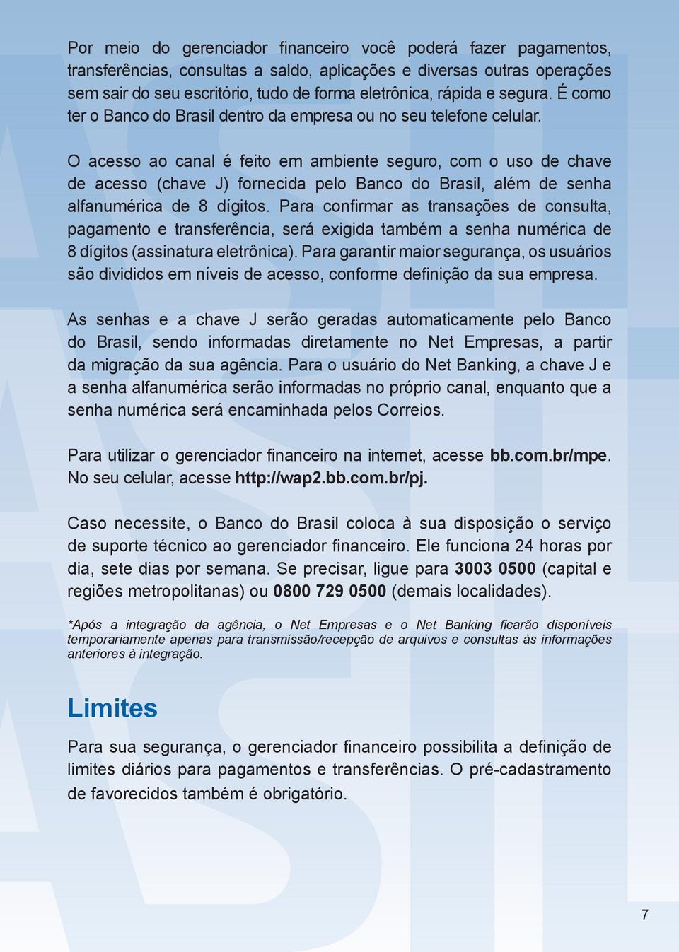 O acesso ao canal é feito em ambiente seguro, com o uso de chave de acesso (chave J) fornecida pelo Banco do Brasil, além de senha alfanumérica de 8 dígitos.