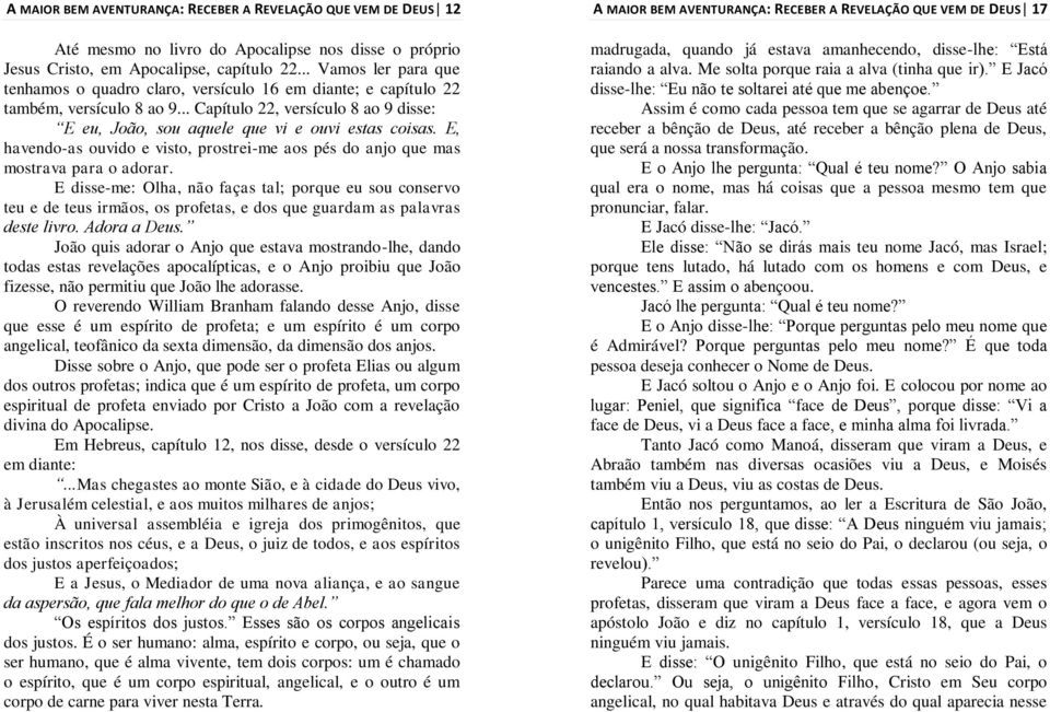 E, havendo-as ouvido e visto, prostrei-me aos pés do anjo que mas mostrava para o adorar.