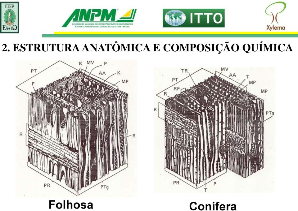 COMPOSIÇÃO