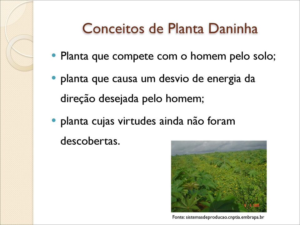 direção desejada pelo homem; planta cujas virtudes ainda