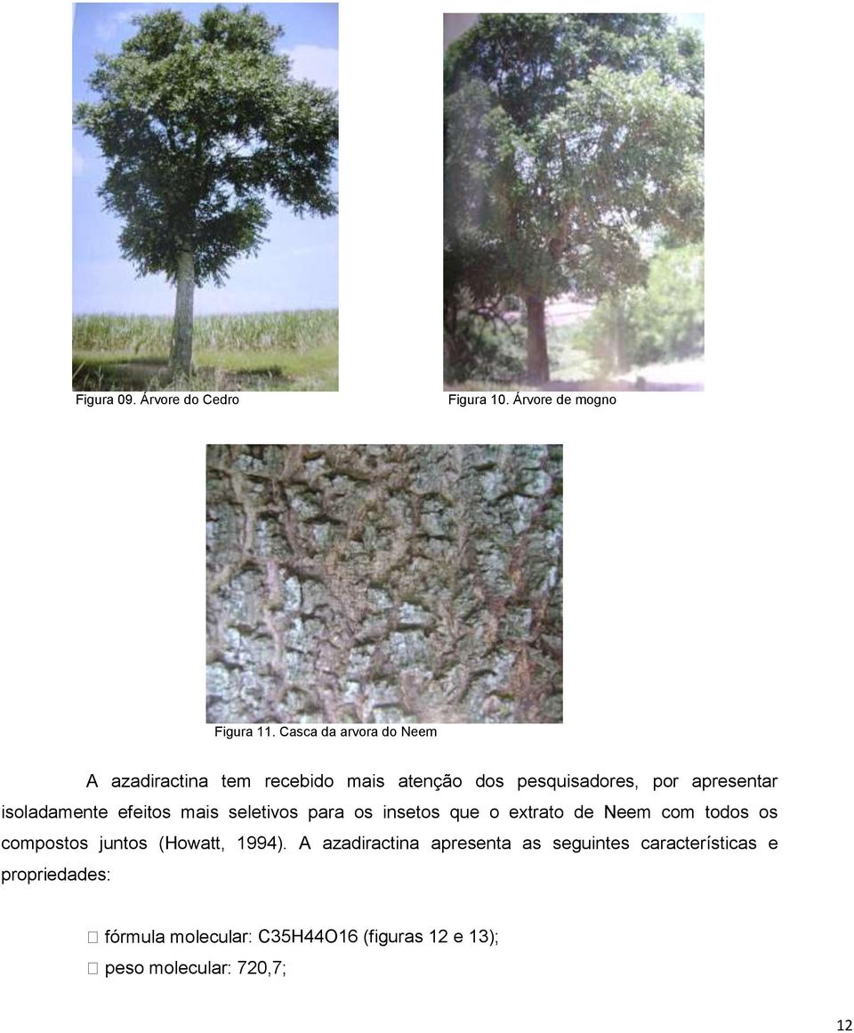 apresentar isoladamente efeitos mais seletivos para os insetos que o extrato de Neem com todos os