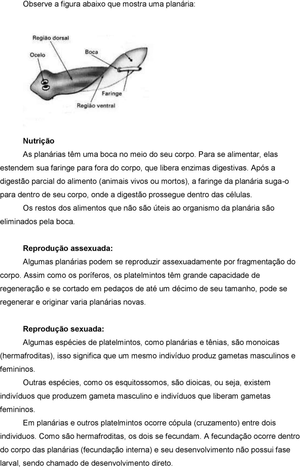 Após a digestão parcial do alimento (animais vivos ou mortos), a faringe da planária suga-o para dentro de seu corpo, onde a digestão prossegue dentro das células.