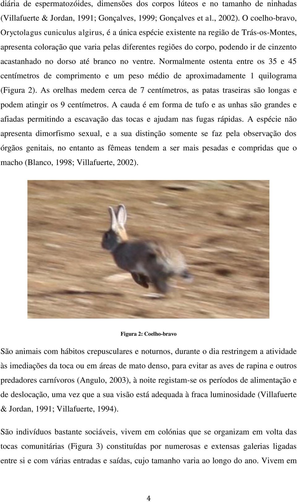 acastanhado no dorso até branco no ventre. Normalmente ostenta entre os 35 e 45 centímetros de comprimento e um peso médio de aproximadamente 1 quilograma (Figura 2).