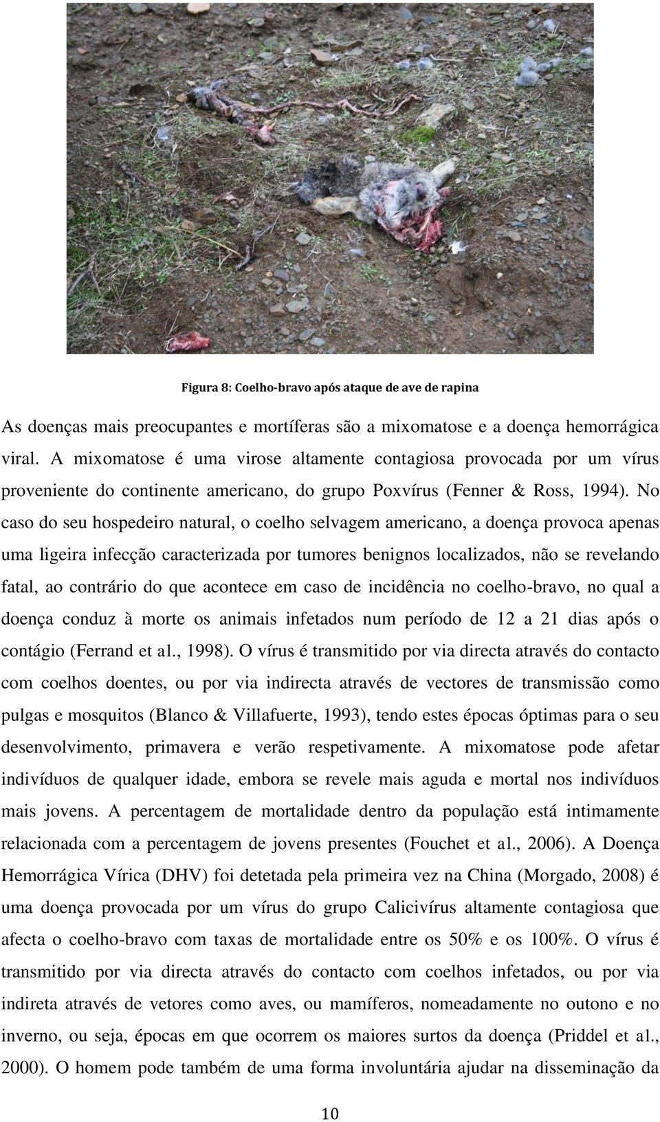 No caso do seu hospedeiro natural, o coelho selvagem americano, a doença provoca apenas uma ligeira infecção caracterizada por tumores benignos localizados, não se revelando fatal, ao contrário do