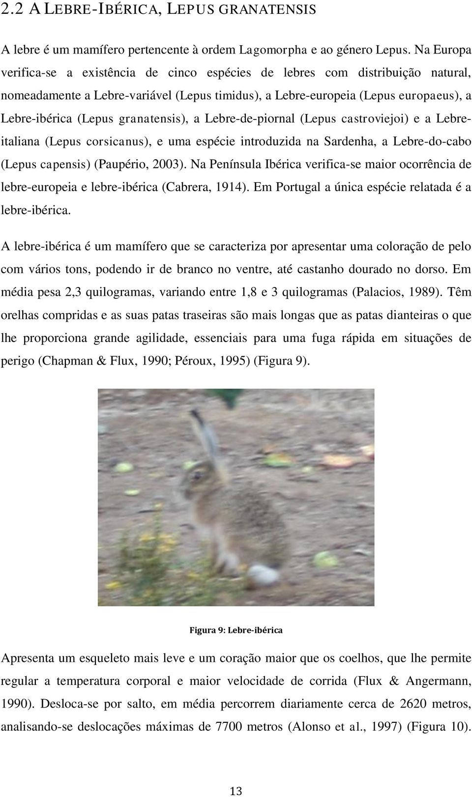 granatensis), a Lebre-de-piornal (Lepus castroviejoi) e a Lebreitaliana (Lepus corsicanus), e uma espécie introduzida na Sardenha, a Lebre-do-cabo (Lepus capensis) (Paupério, 2003).