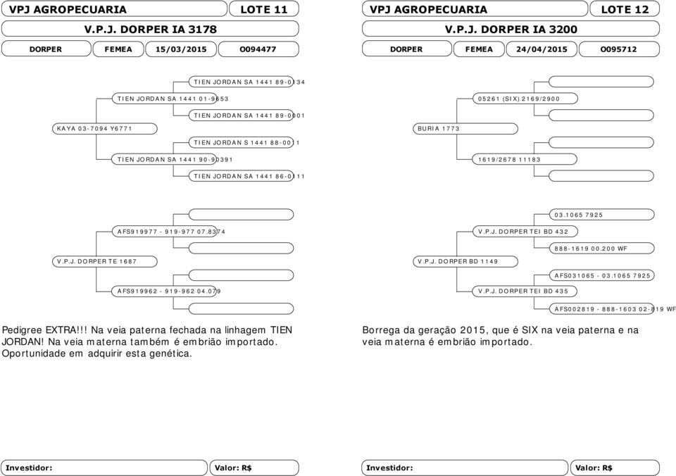 SA 1 4 4 1 9 0-9 0 39 1 16 1 9 /2 6 7 8 1 11 8 3 T IE N JO RDA N SA 1 44 1 8 6-0 1 1 1 0 3.1 0 65 7 9 2 5 A FS9 1 99 7 7-9 1 9-9 7 7 07.83 7 4 V.P.J. DO RP E R T E I BD 4 3 2 8 8 8-1 6 19 0 0.