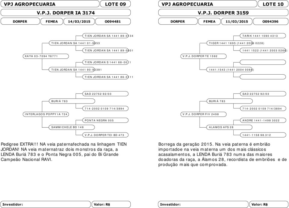 2 00 3 0 2 6 6 ) V.P.J. DO RP E R T E 1 5 92 T IE N JO RDA N S 1 4 41 8 8-00 1 1 T IE N JO RDA N SA 1 4 4 1 9 0-9 0 39 1 14 4 1.