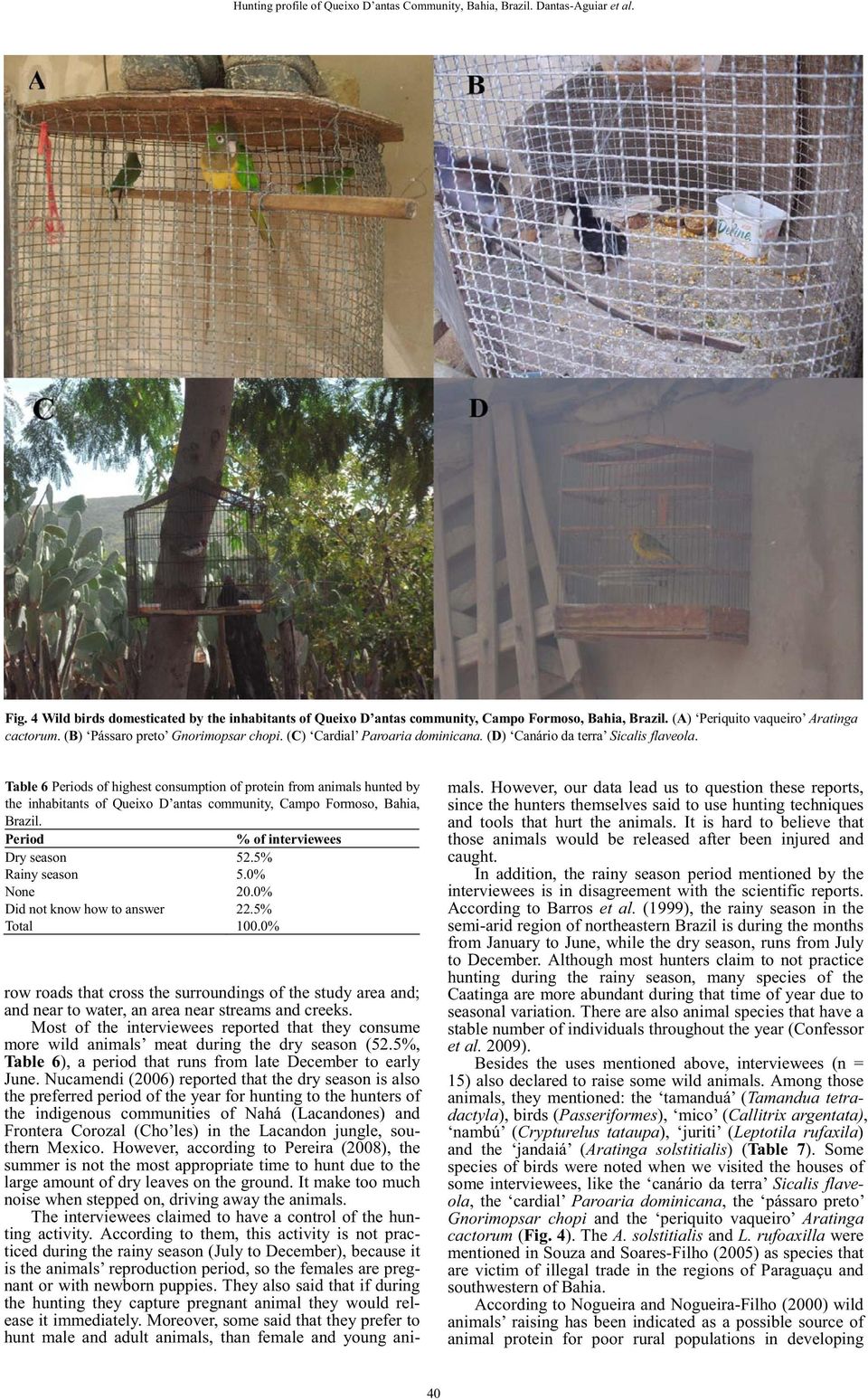 Table 6 Periods of highest consumption of protein from animals hunted by the inhabitants of Queixo D antas community, Campo Formoso, Bahia, Brazil. Period % of interviewees Dry season 52.