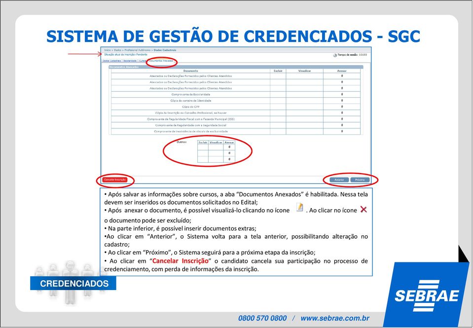 Ao clicar no ícone o documento pode ser excluído; Na parte inferior, é possível inserir documentos extras; Ao clicar em Anterior, o Sistema volta para a tela