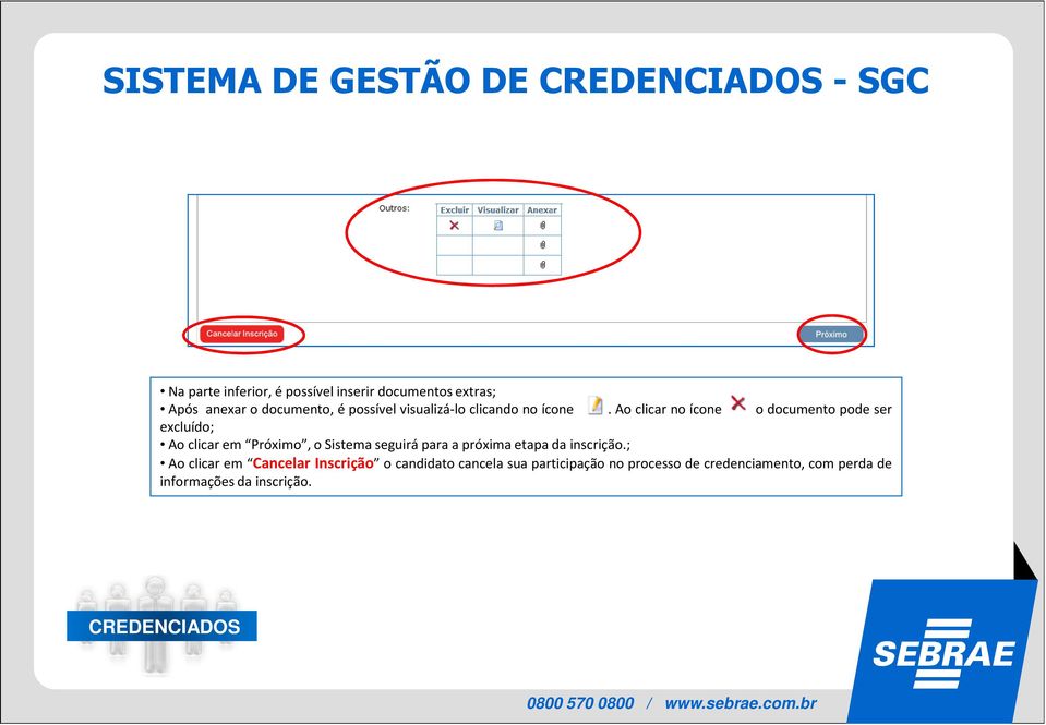 Ao clicar no ícone o documento pode ser excluído; Ao clicar em Próximo, o Sistema seguirá para a