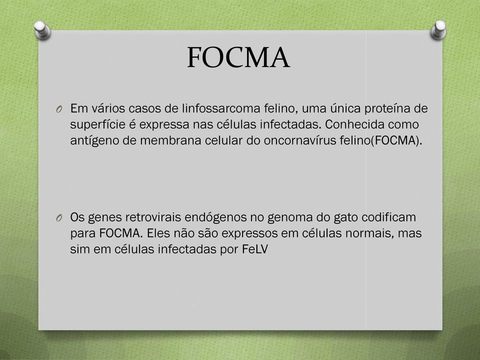 Conhecida como antígeno de membrana celular do oncornavírus felino(focma).