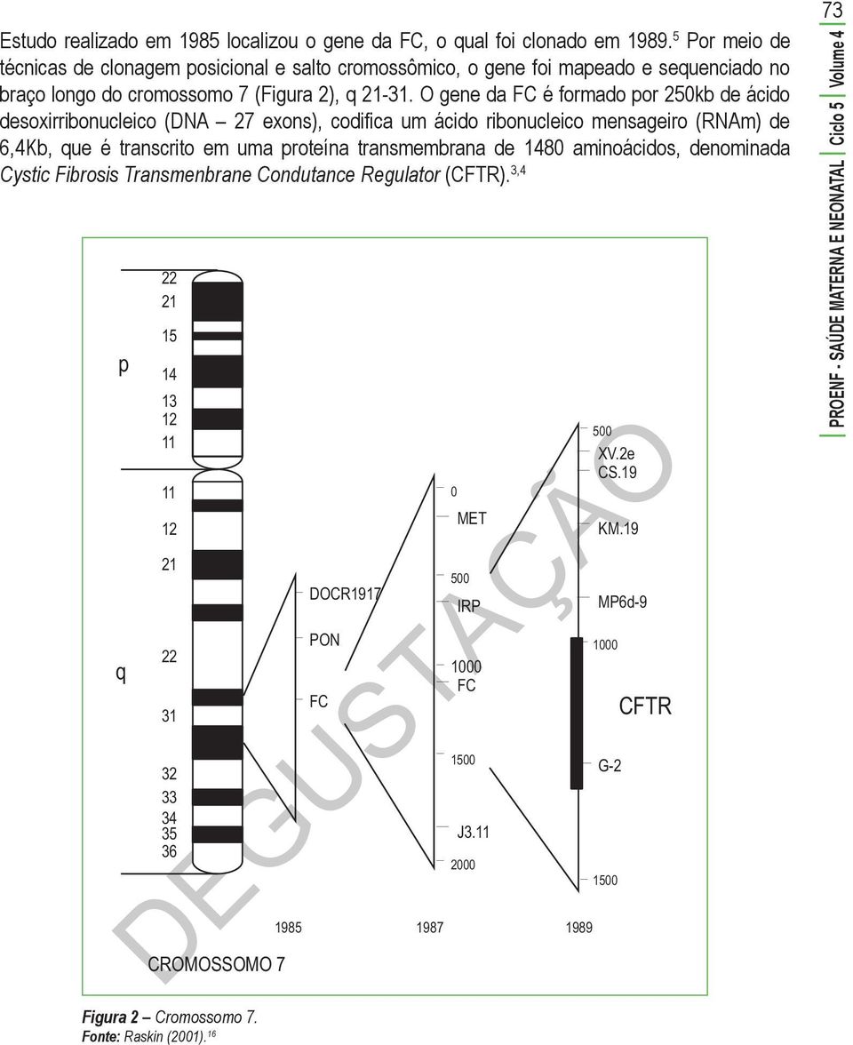 O gene da FC é formado por 250kb de ácido desoxirribonucleico (DNA 27 exons), codifica um ácido ribonucleico mensageiro (RNAm) de 6,4Kb, que é transcrito em uma proteína transmembrana de 1480