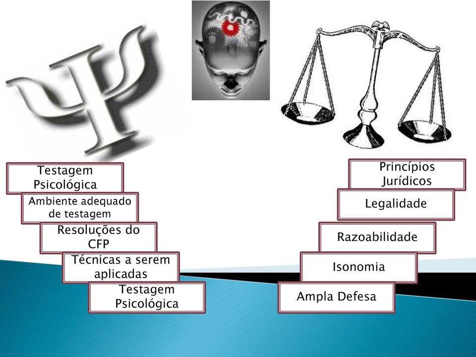 aplicadas Testagem Psicológica Princípios