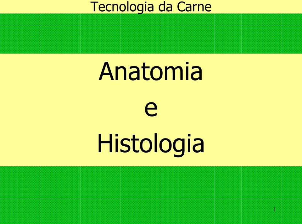 Anatomia e