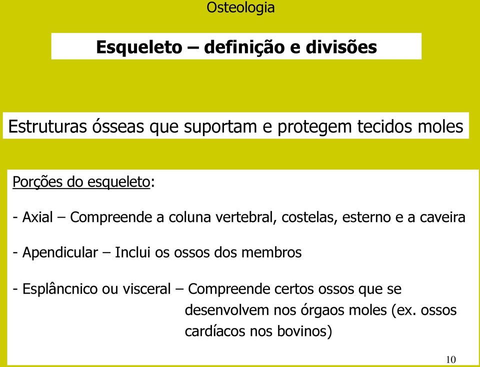 esterno e a caveira - Apendicular Inclui os ossos dos membros - Esplâncnico ou visceral