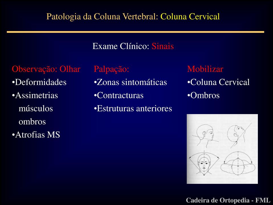 músculos ombros Atrofias MS Palpação: Zonas sintomáticas