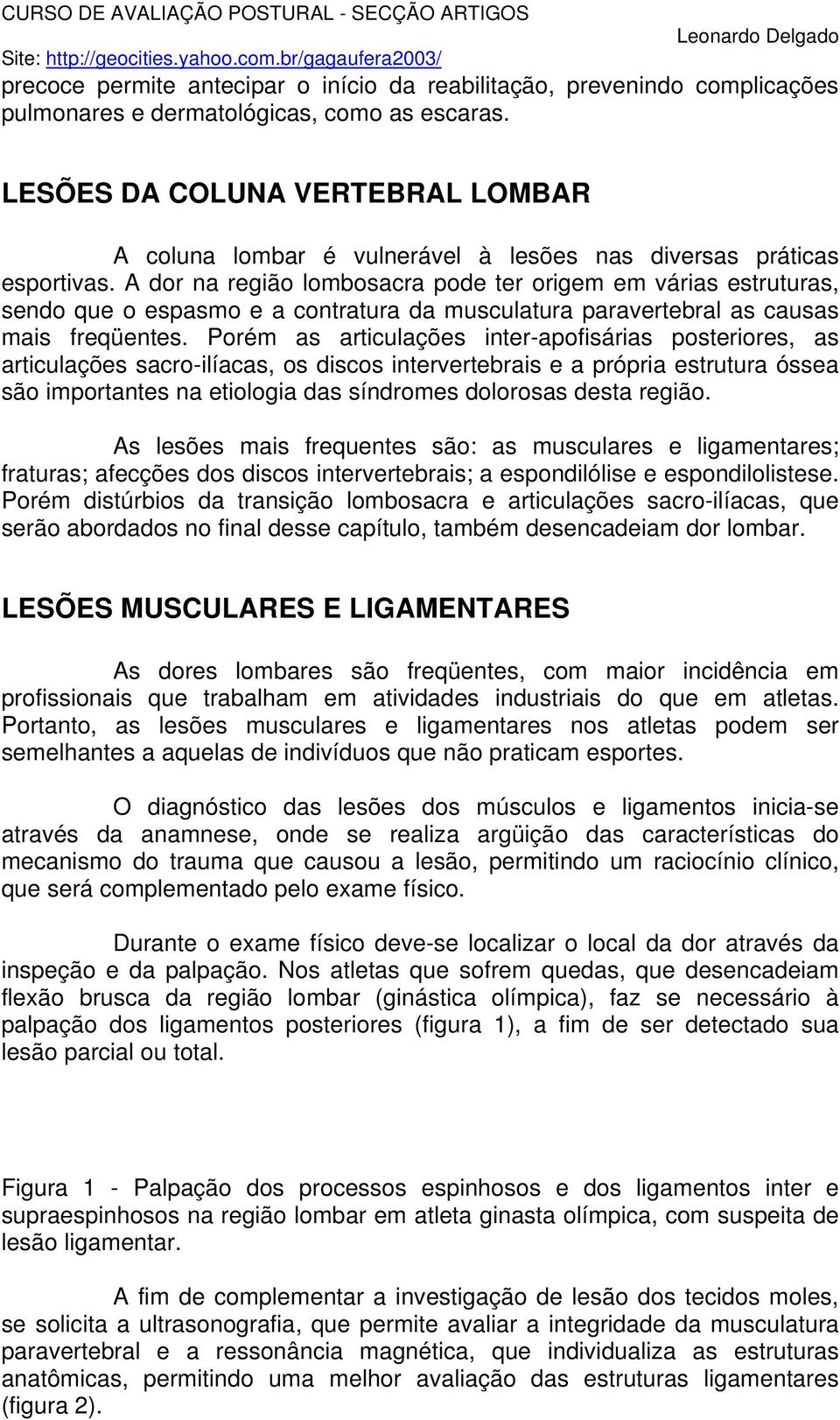 A dor na região lombosacra pode ter origem em várias estruturas, sendo que o espasmo e a contratura da musculatura paravertebral as causas mais freqüentes.