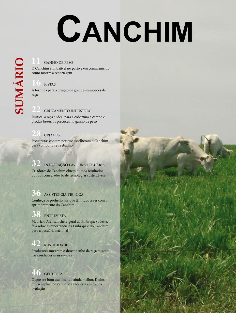 LAVOURA-PECUÁRIA Criadores de Canchim obtêm ótimos resultados obtidos com a adoção de tecnologias sustentáveis 36 ASSISTÊNCIA TÉCNICA Conheça os profissionais que têm tudo a ver com o aprimoramento