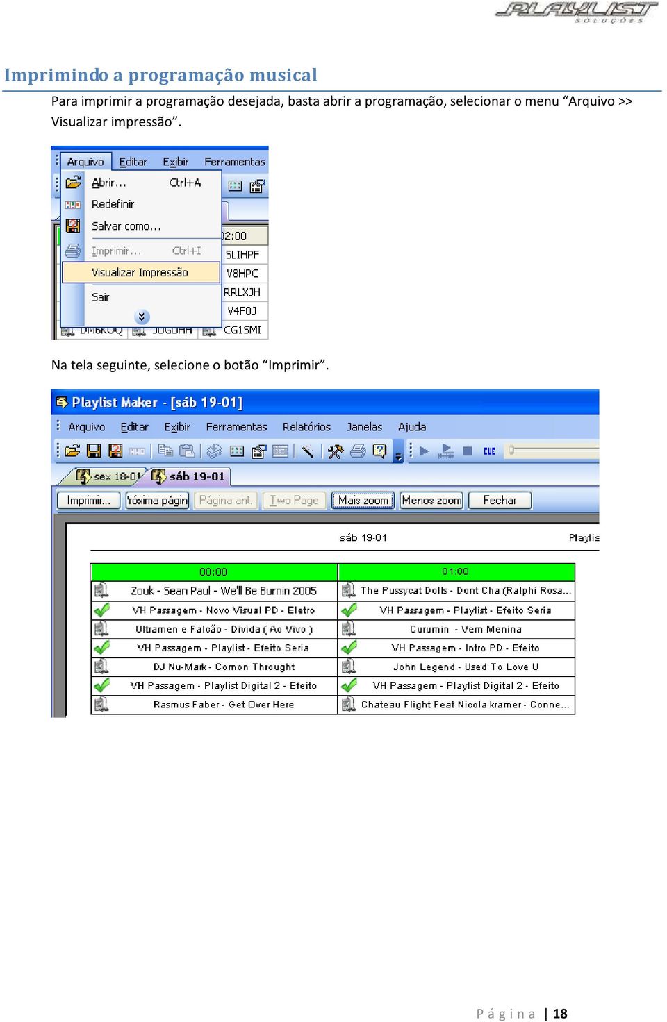 selecionar o menu Arquivo >> Visualizar impressão.