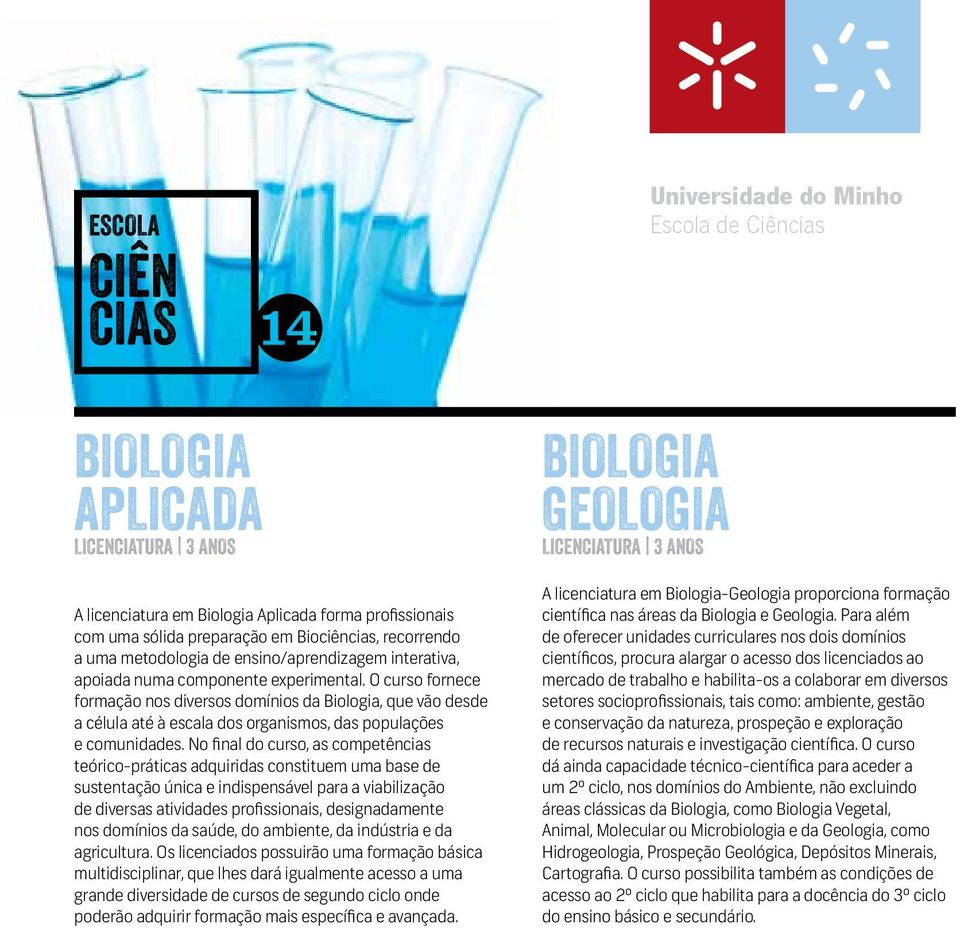 No final do curso, as competências teórico-práticas adquiridas constituem uma base de sustentação única e indispensável para a viabilização de diversas atividades profissionais, designadamente nos