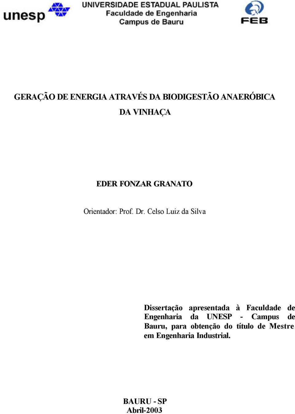 Celso Luiz da Silva Dissertação apresentada à Faculdade de Engenharia