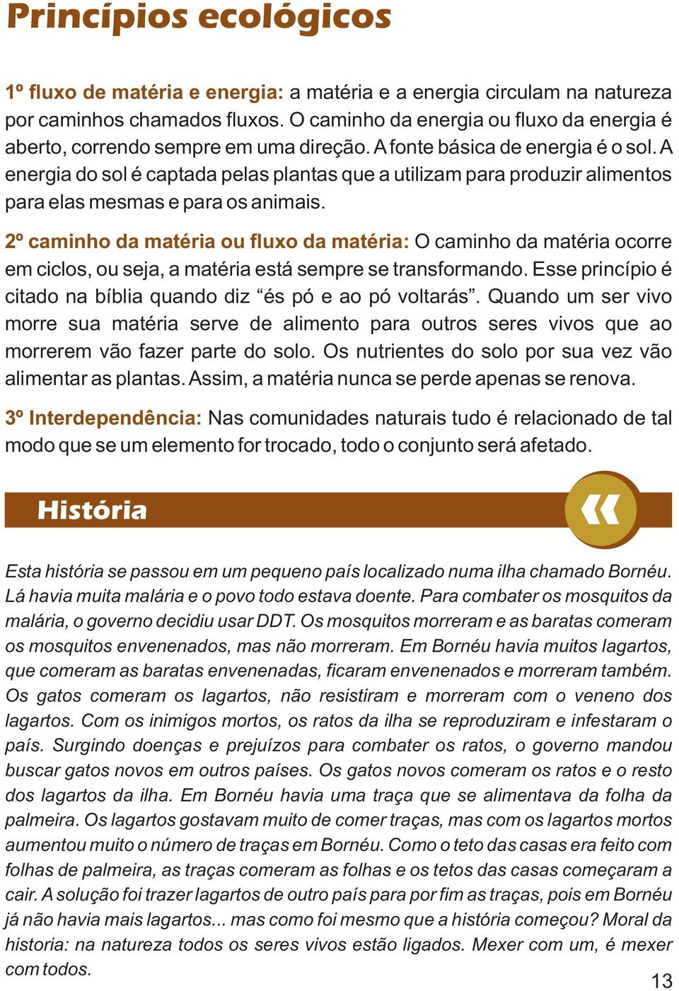 A energia do sol é captada pelas plantas que a utilizam para produzir alimentos para elas mesmas e para os animais.