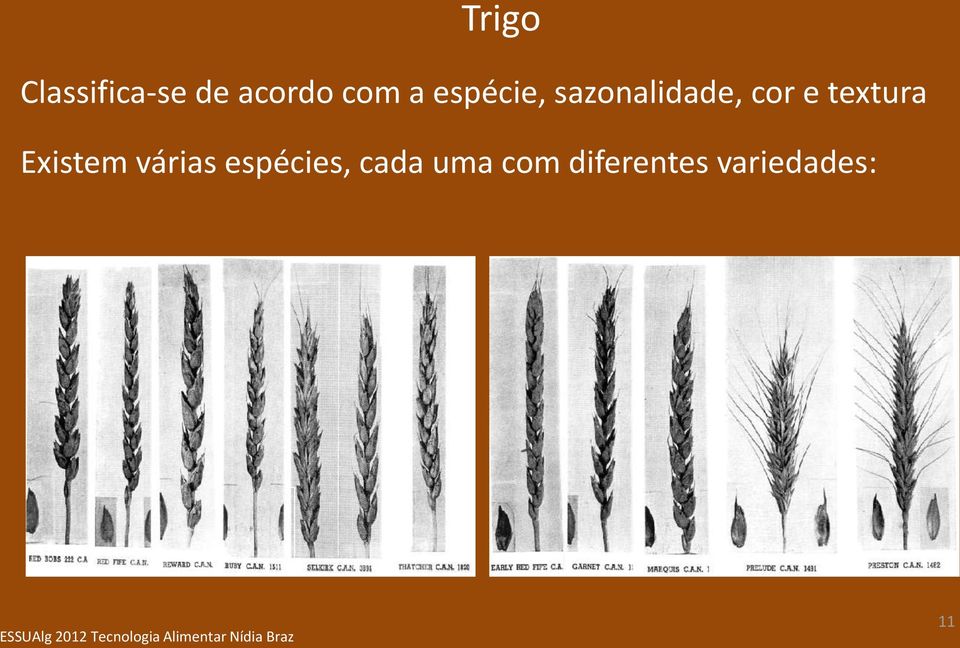 textura Existem várias espécies,