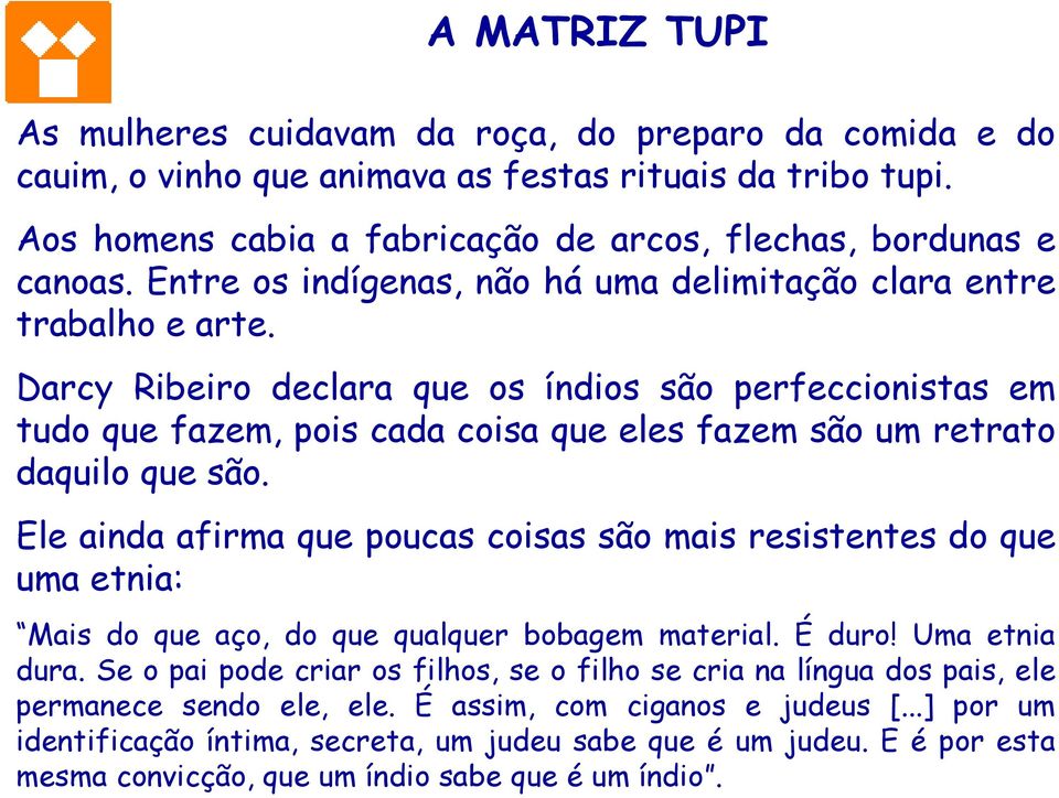 Darcy Ribeiro declara que os índios são perfeccionistas em tudo que fazem, pois cada coisa que eles fazem são um retrato daquilo que são.