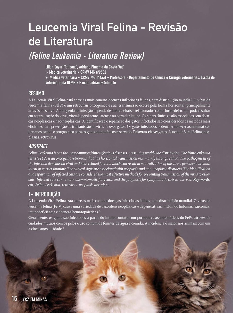 br RESUMO A Leucemia Viral Felina está entre as mais comuns doenças infecciosas felinas, com distribuição mundial.