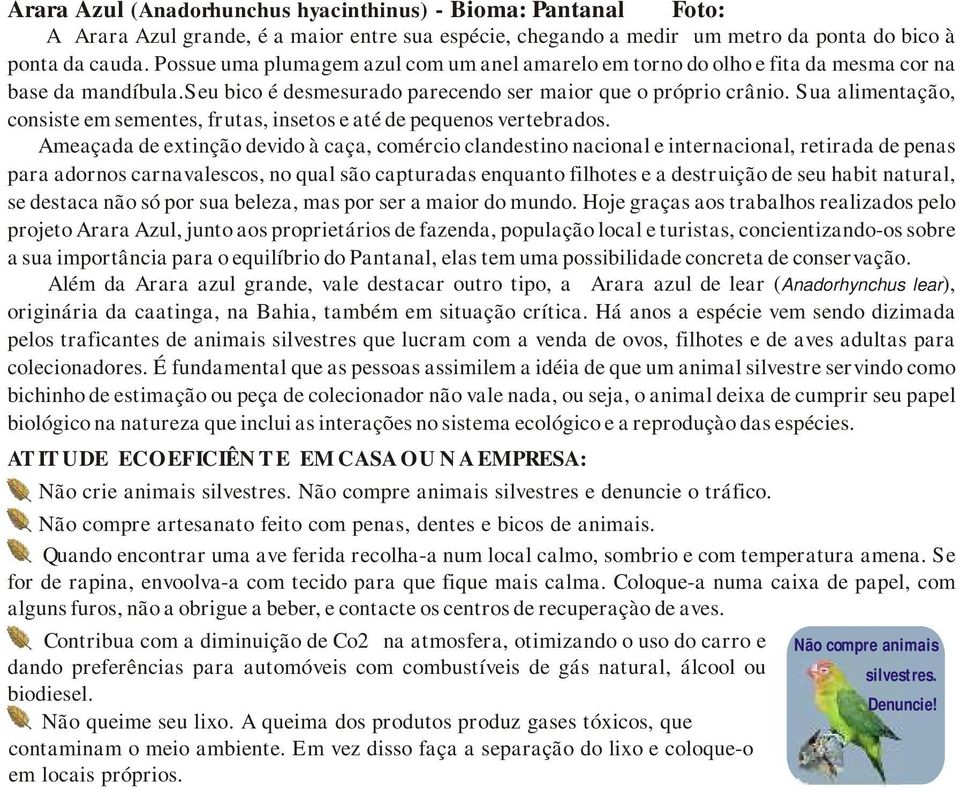 Sua alimentação, consiste em sementes, frutas, insetos e até de pequenos vertebrados.