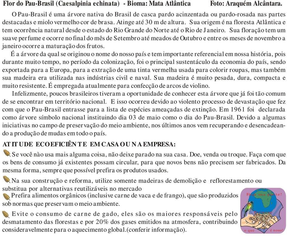 Sua origem é na floresta Atlântica e tem ocorrência natural desde o estado do Rio Grande do Norte até o Rio de Janeiro.