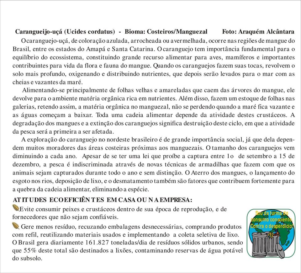 O caranguejo tem importância fundamental para o equilíbrio do ecossistema, constituindo grande recurso alimentar para aves, mamíferos e importantes contribuintes para vida da flora e fauna do mangue.