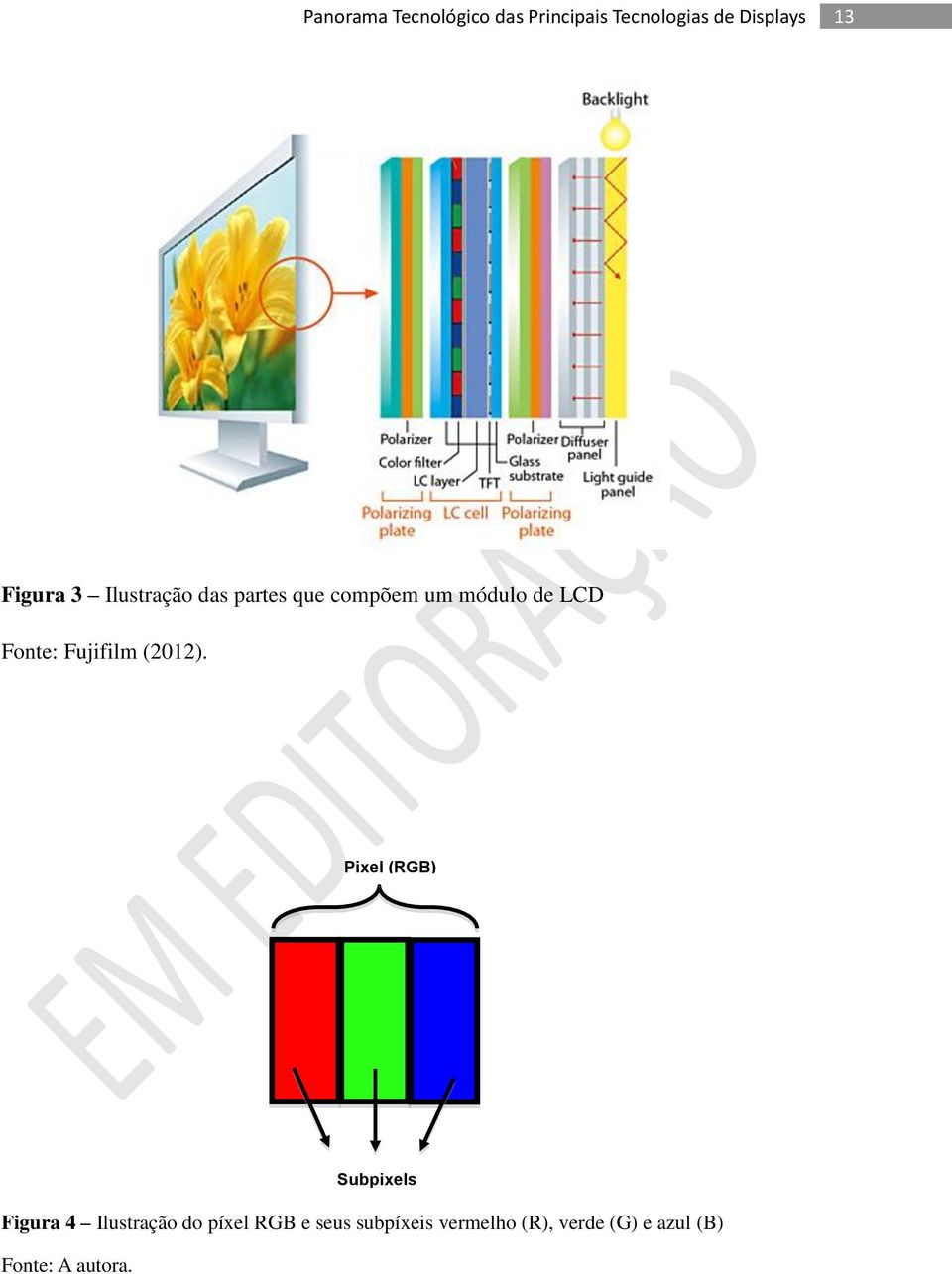 Pixel (RGB) Figura 4 Ilustração do píxel RGB e seus