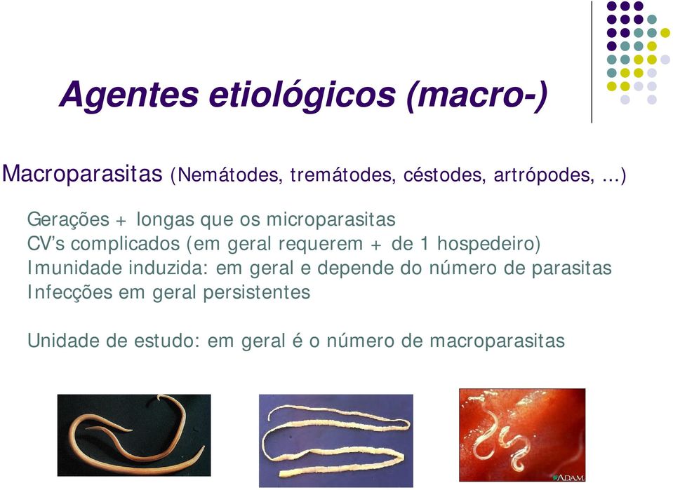 ..) Gerações + longas que os microparasitas CV s complicados (em geral requerem + de