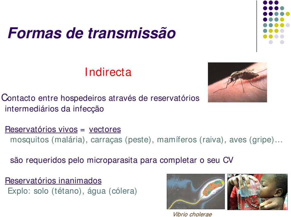 carraças (peste), mamíferos (raiva), aves (gripe) são requeridos pelo microparasita