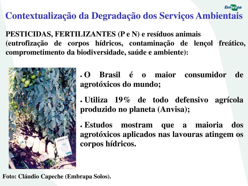 maior consumidor de agrotóxicos do mundo; Utiliza 19% de todo defensivo agrícola produzido no planeta (Anvisa); Estudos