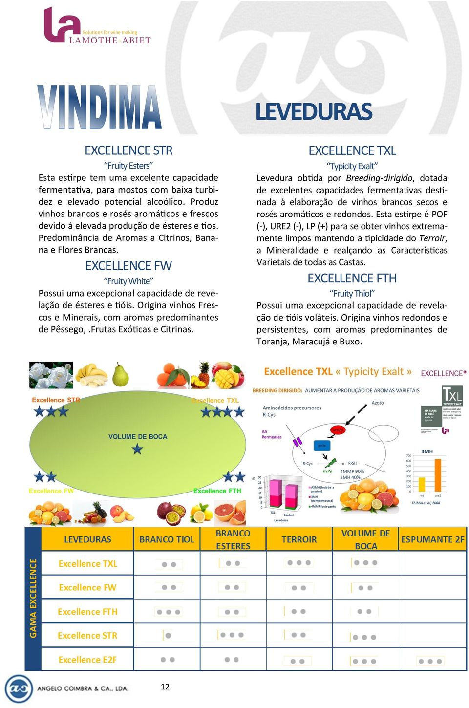 EXCELLENCE FW Fruity White Possui uma excepcional capacidade de revelação de ésteres e tióis. Origina vinhos Frescos e Minerais, com aromas predominantes de Pêssego,.Frutas Exóticas e Citrinas.